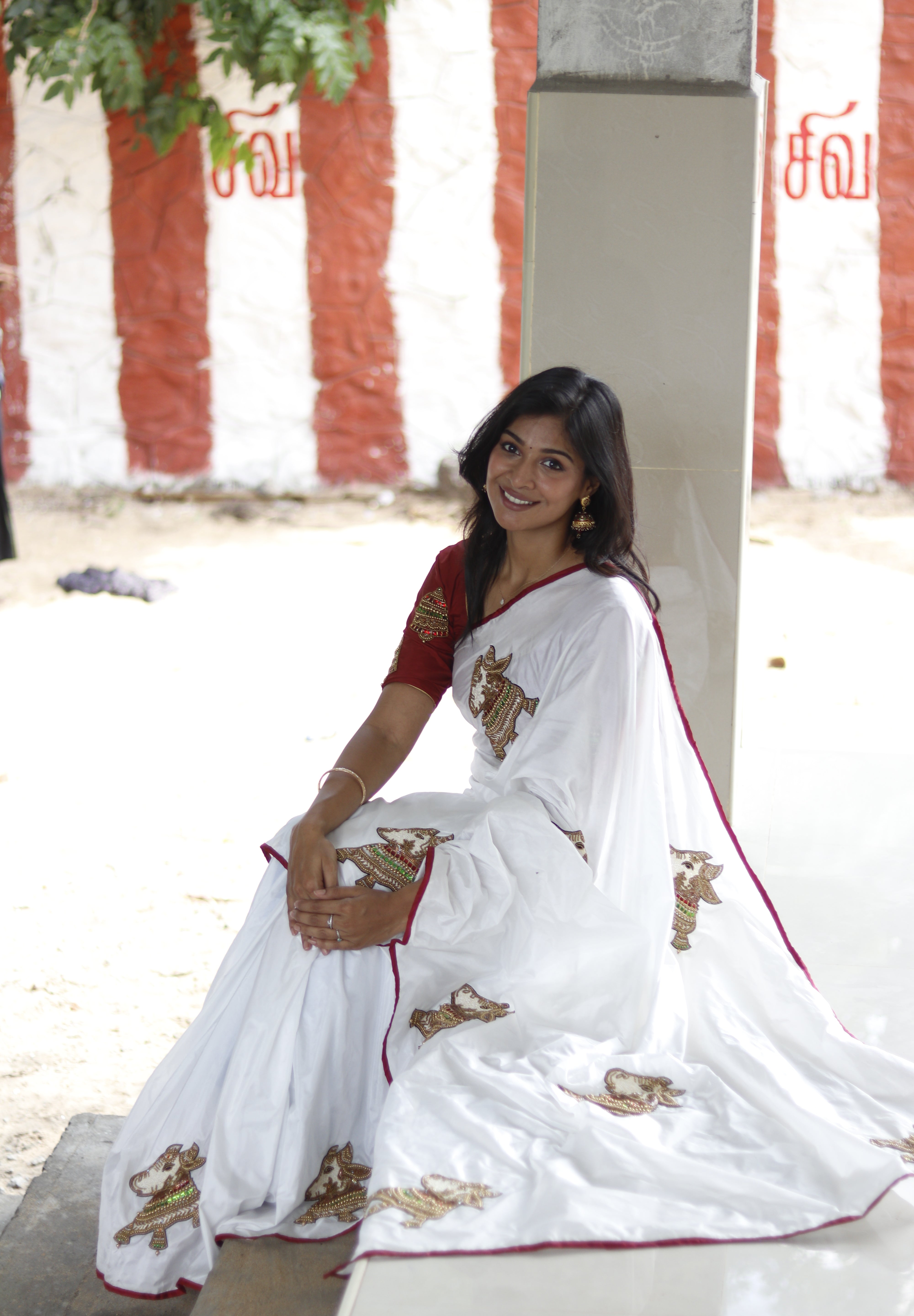 Nandhi Vahana Saree blouse set